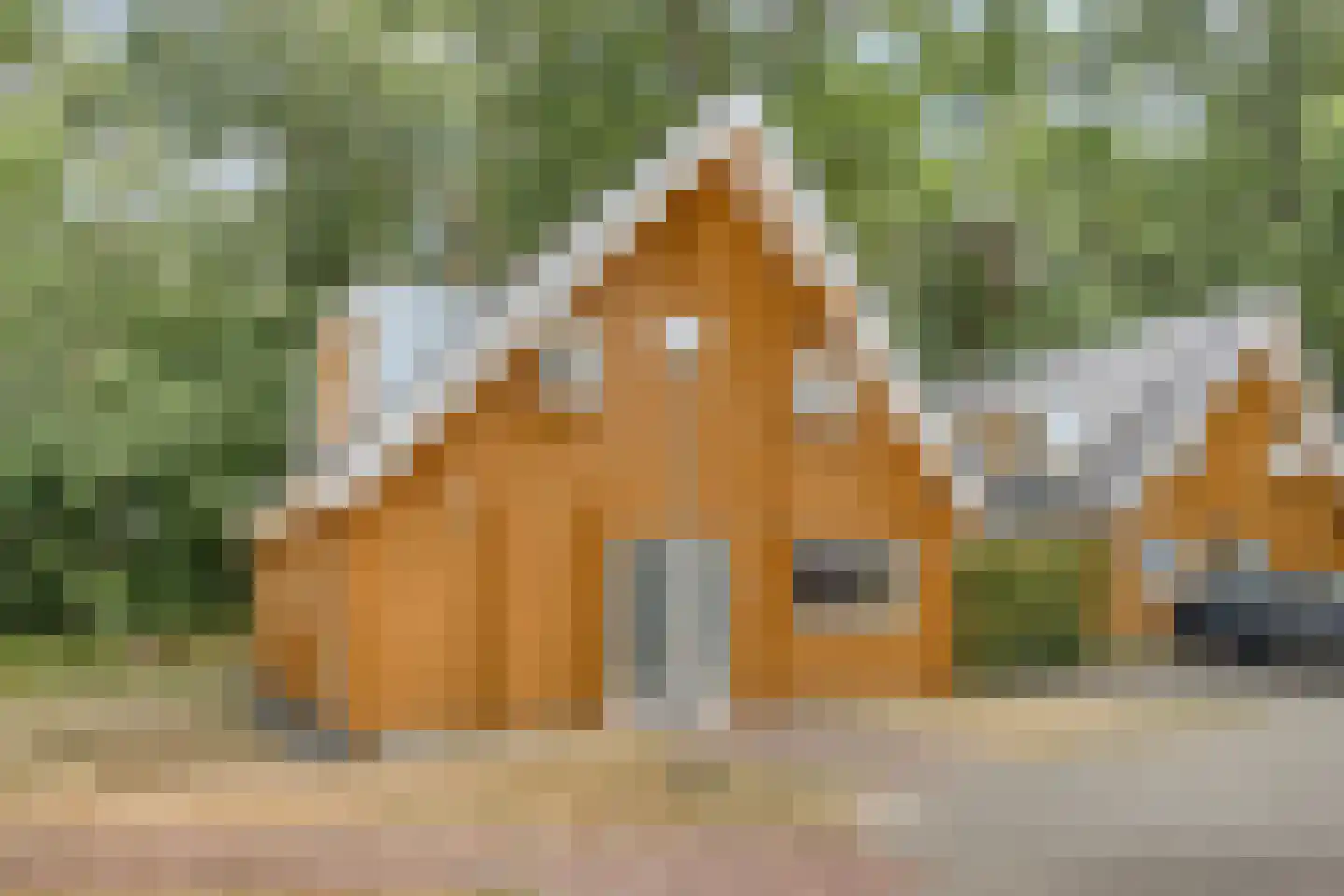 Klein Belgie 75 329 Vijfhuizen thumbnail 24