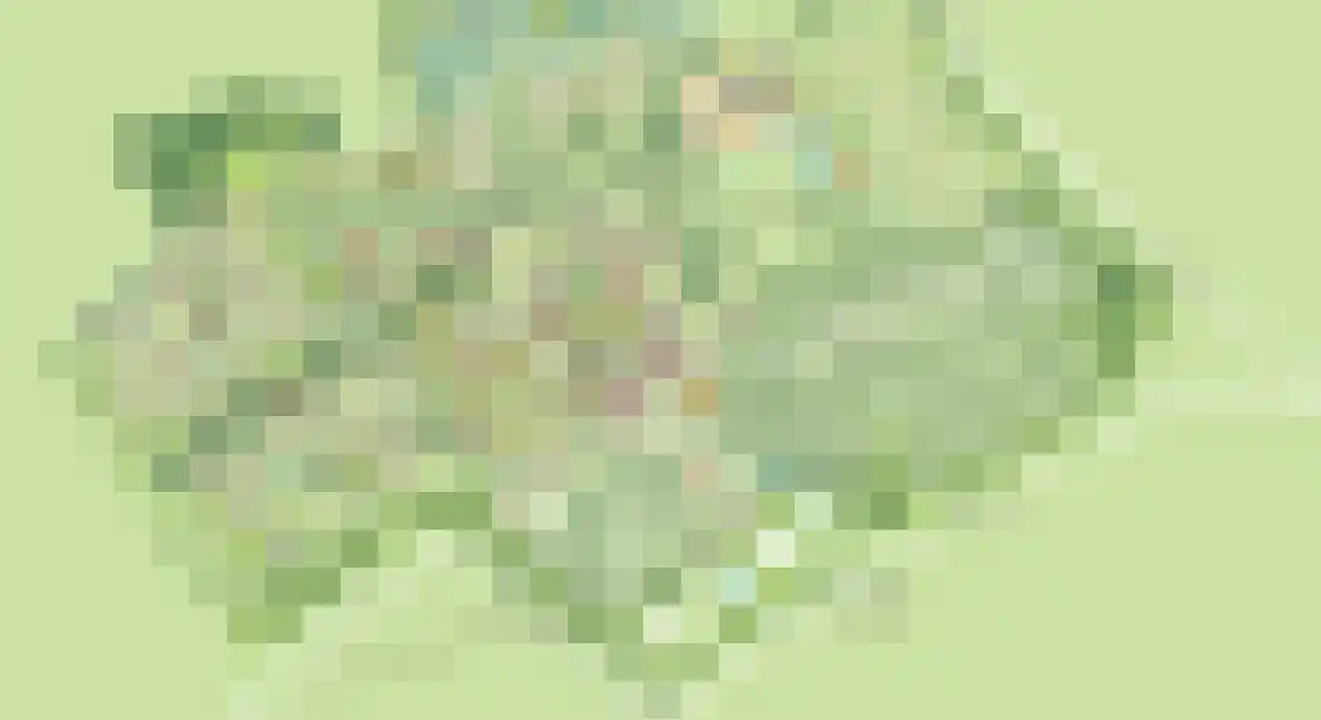 Klein Belgie 75 329 Vijfhuizen thumbnail 27