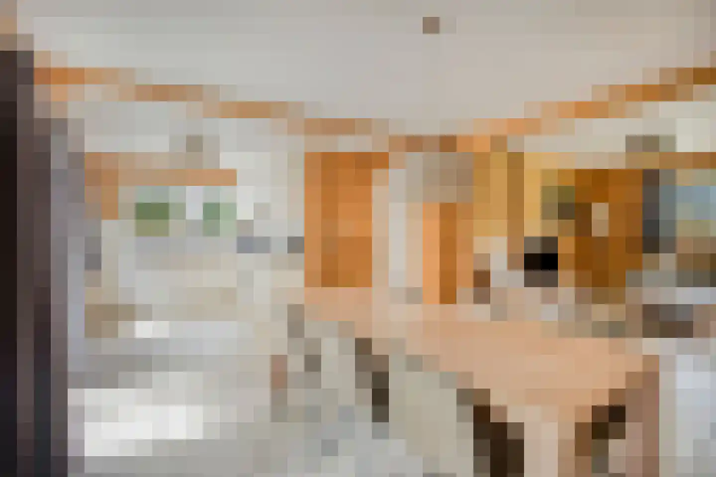 Klein Belgie 75 329 Vijfhuizen thumbnail 5