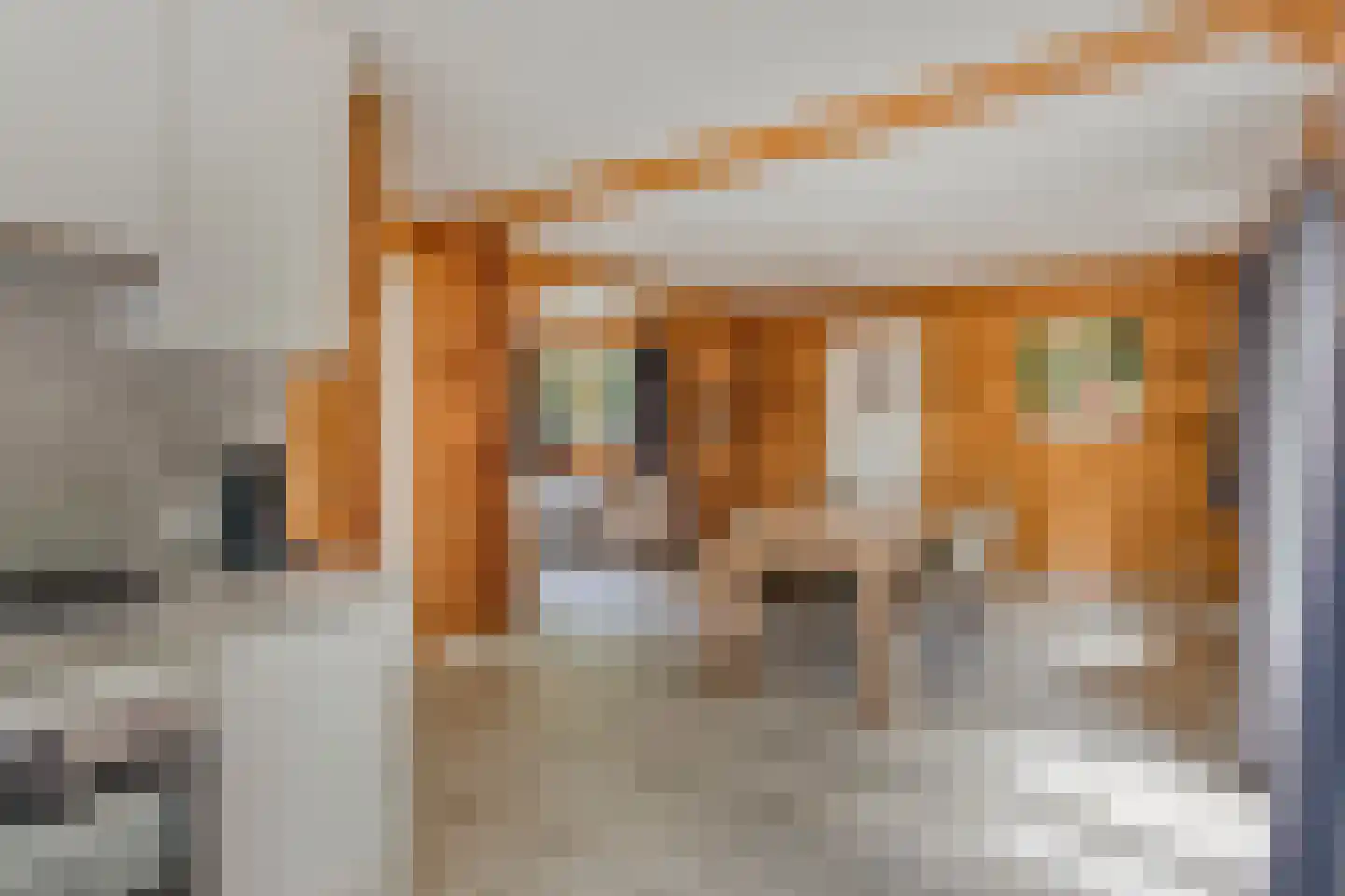 Klein Belgie 75 329 Vijfhuizen thumbnail 6
