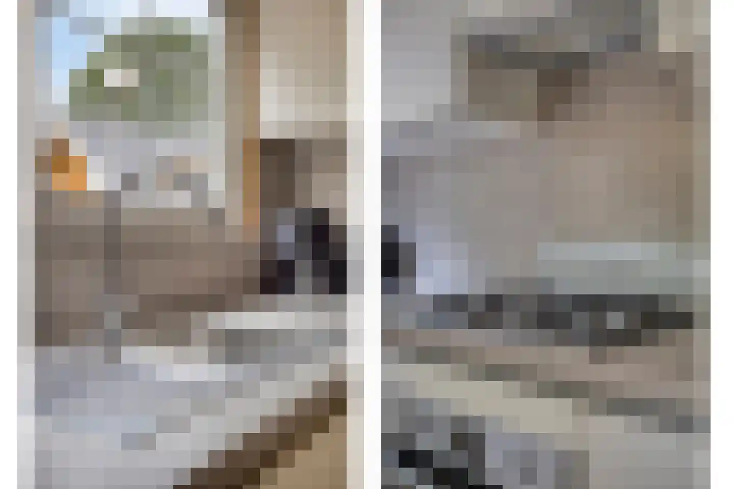 Klein Belgie 75 329 Vijfhuizen thumbnail 8