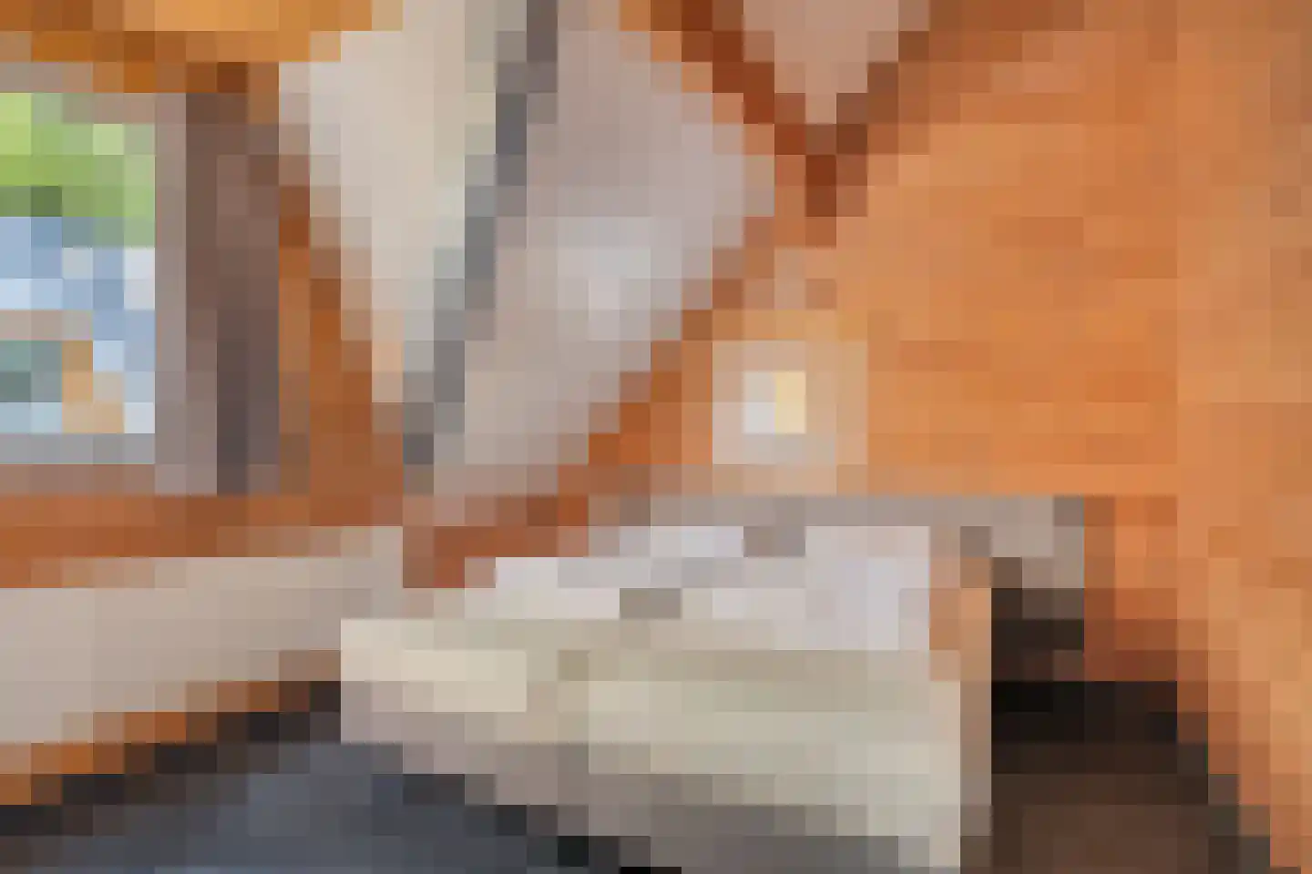 Klein Belgie 75 330 Vijfhuizen thumbnail 11