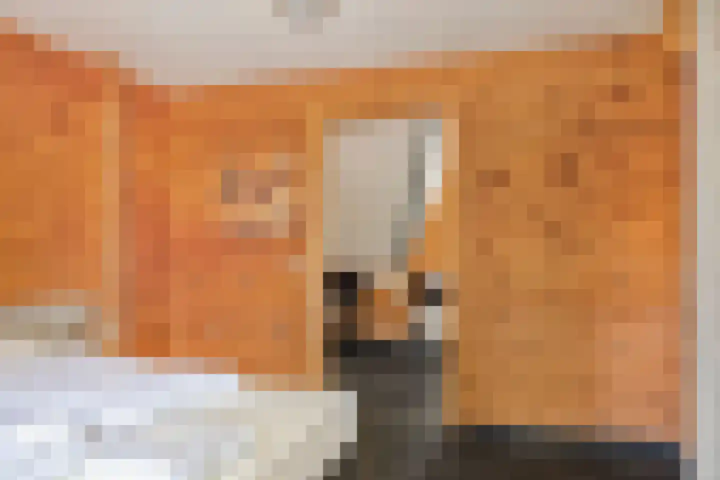Klein Belgie 75 330 Vijfhuizen thumbnail 15