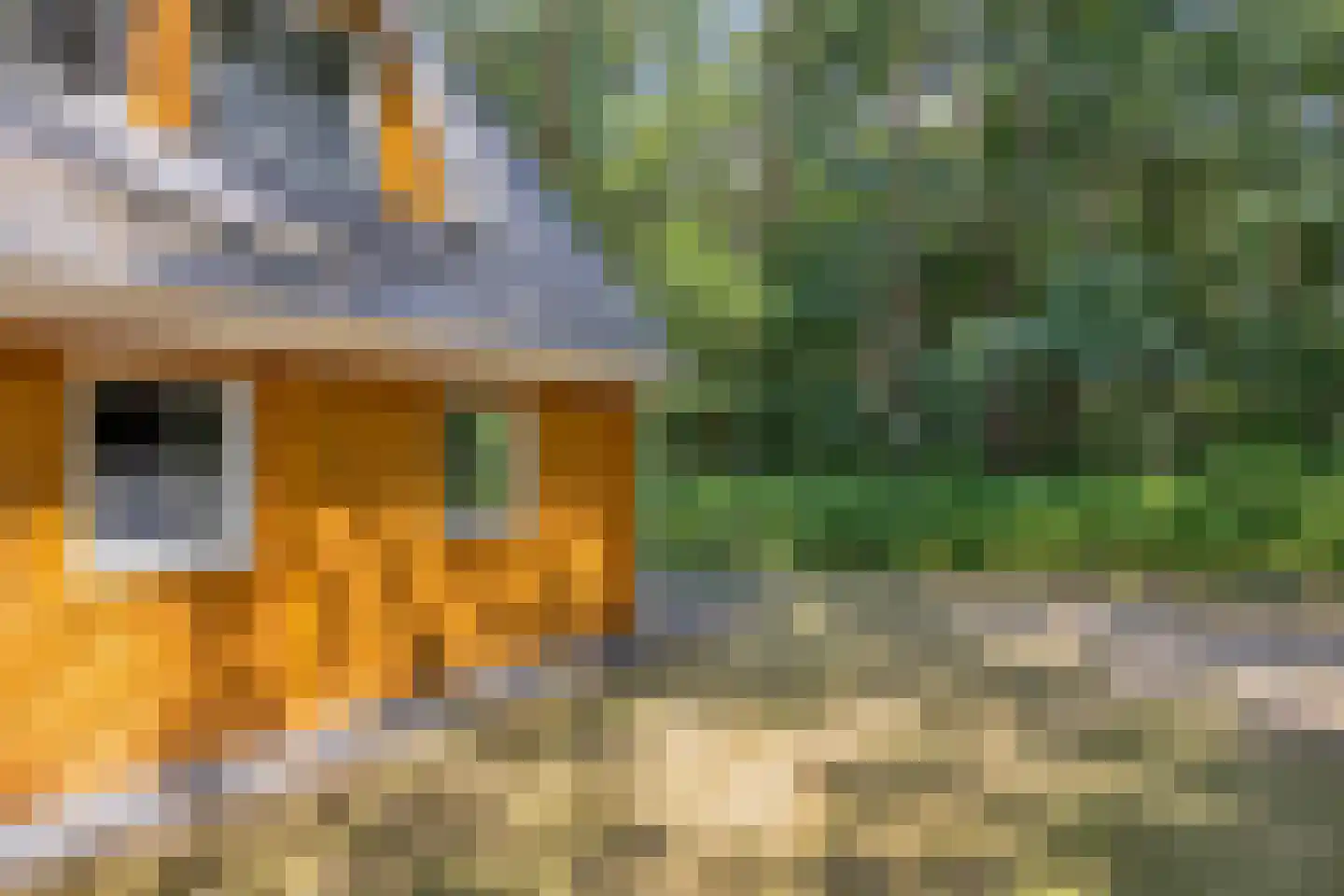 Klein Belgie 75 330 Vijfhuizen thumbnail 16