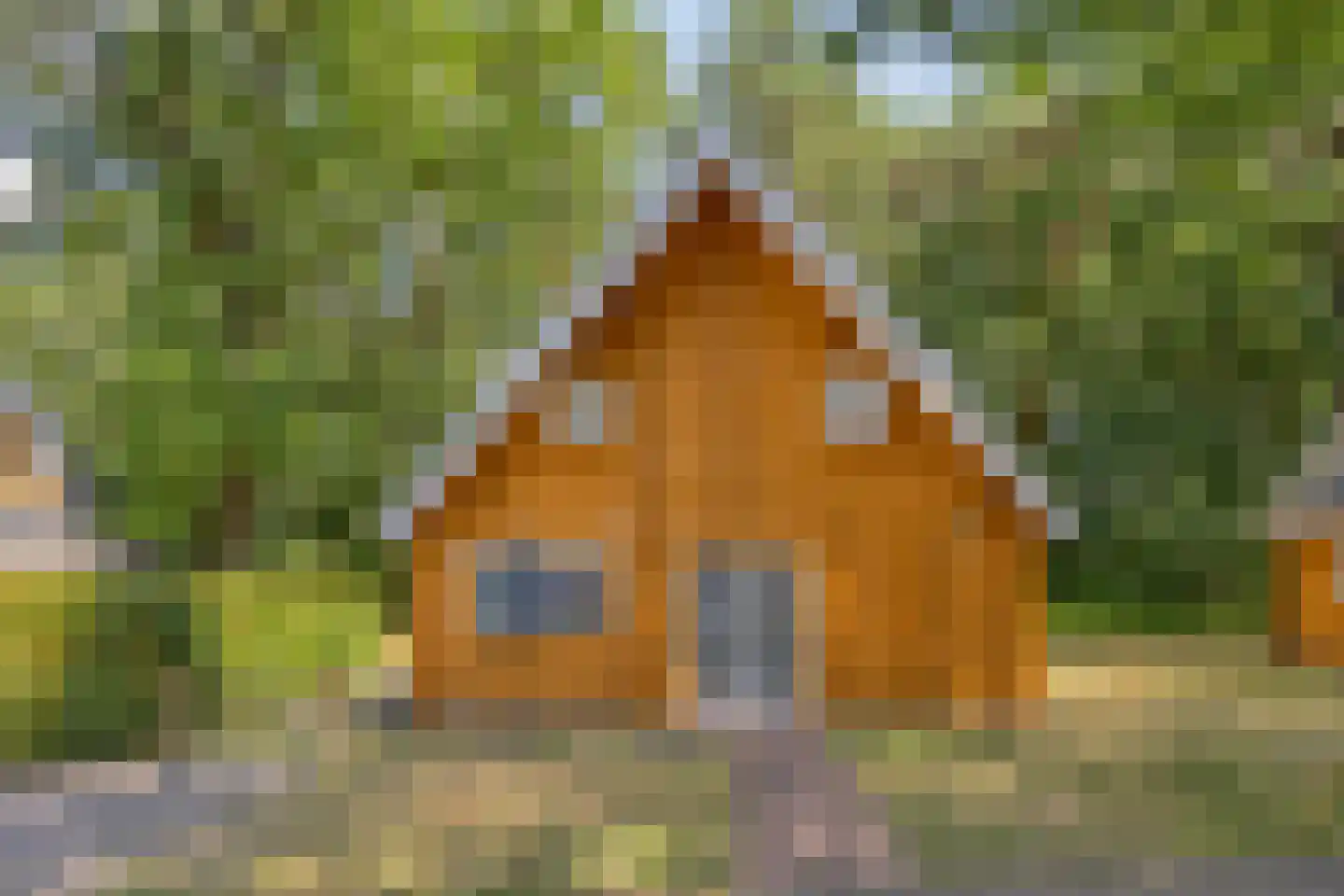 Klein Belgie 75 330 Vijfhuizen thumbnail 17