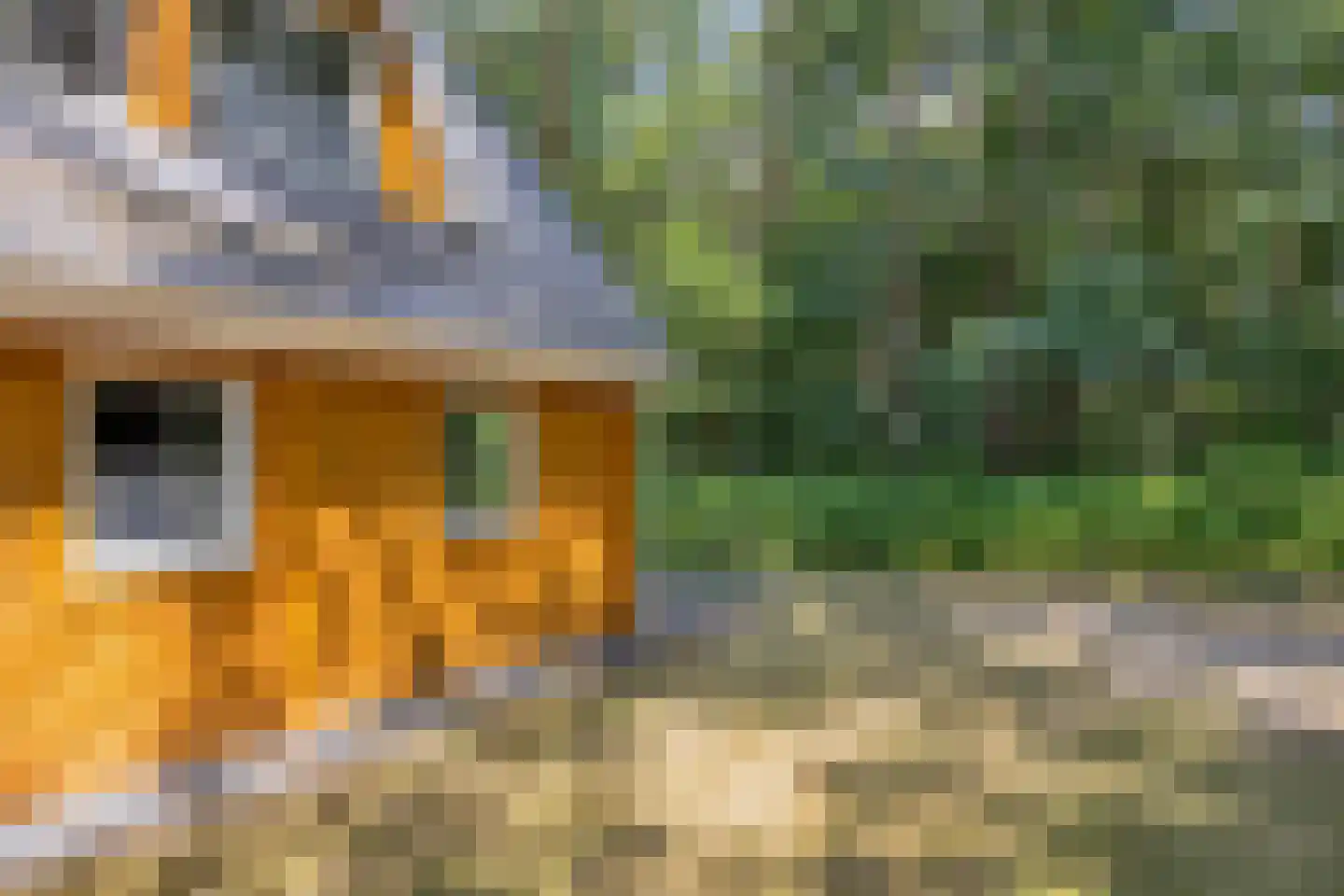 Klein Belgie 75 330 Vijfhuizen thumbnail 25