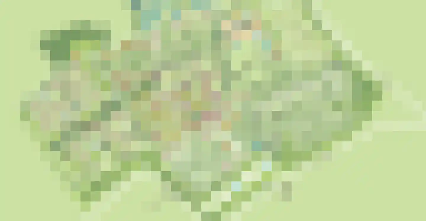 Klein Belgie 75 330 Vijfhuizen thumbnail 32