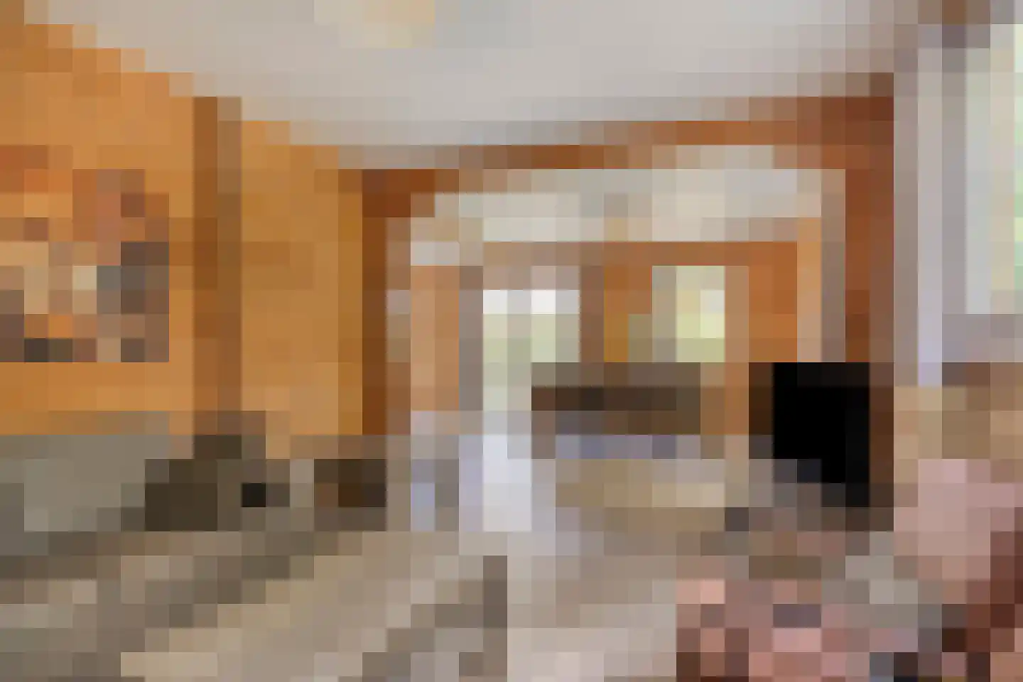 Klein Belgie 75 330 Vijfhuizen thumbnail 5
