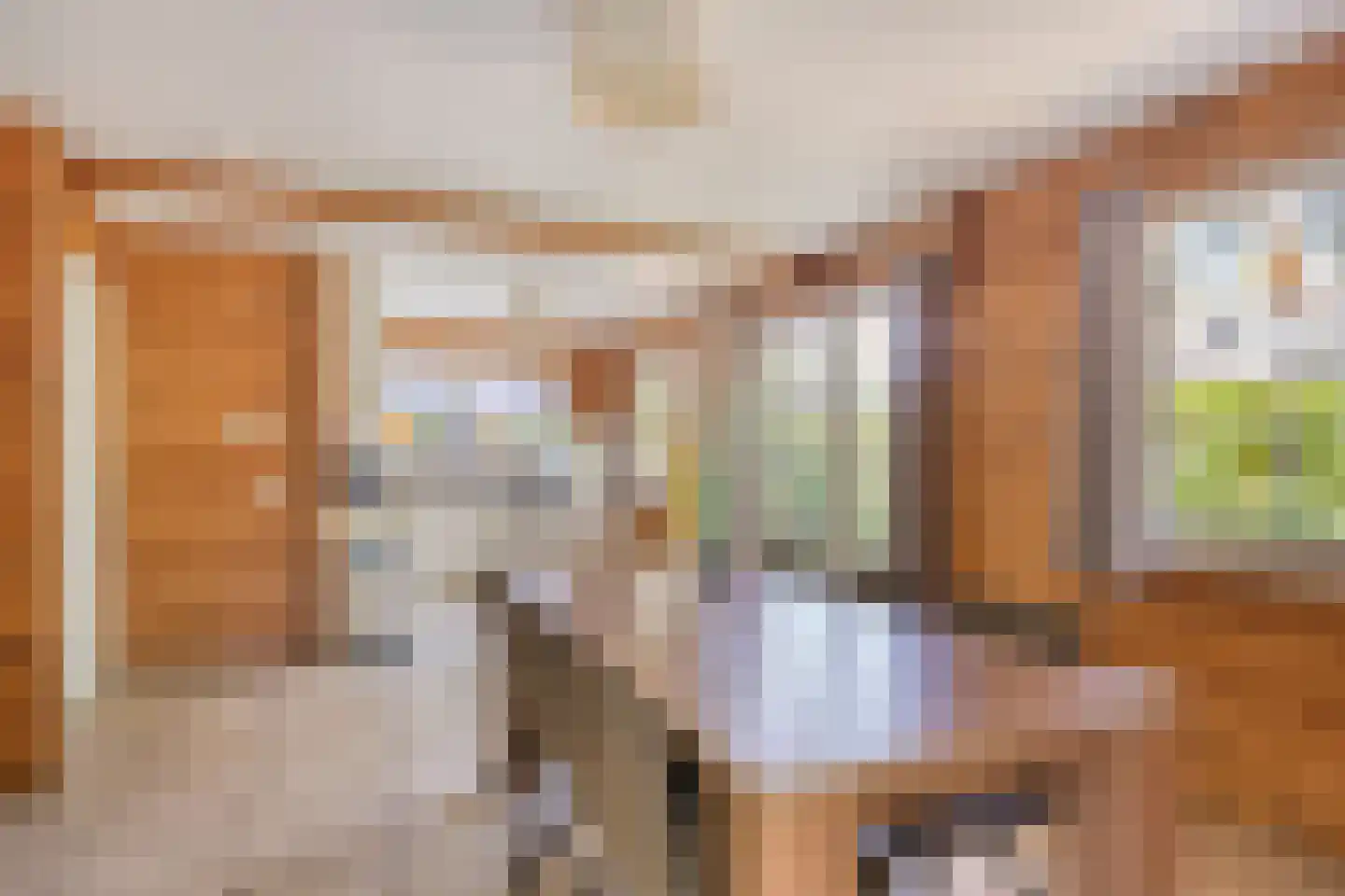 Klein Belgie 75 330 Vijfhuizen thumbnail 8