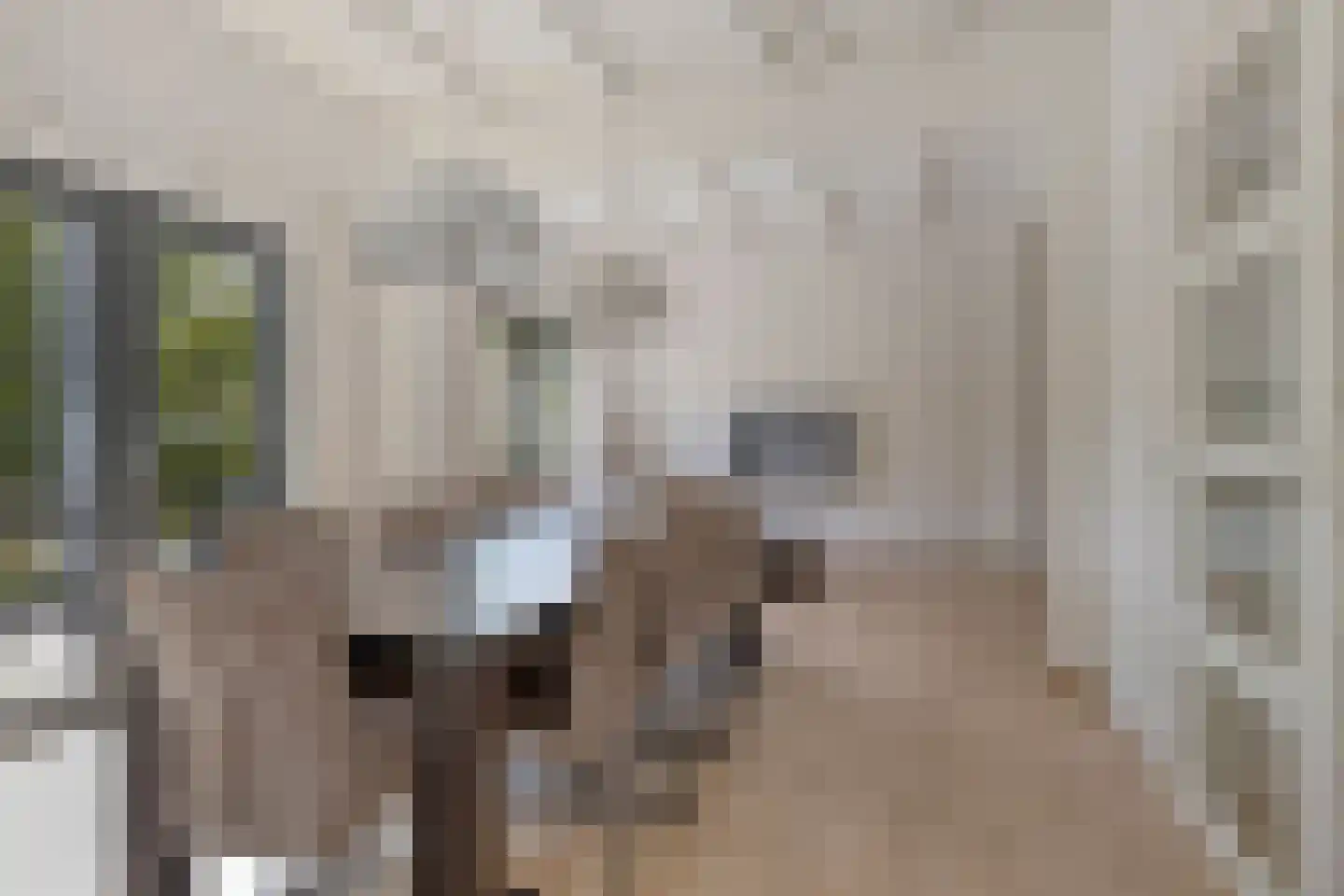 Klein Belgie 75 520 Vijfhuizen thumbnail 10
