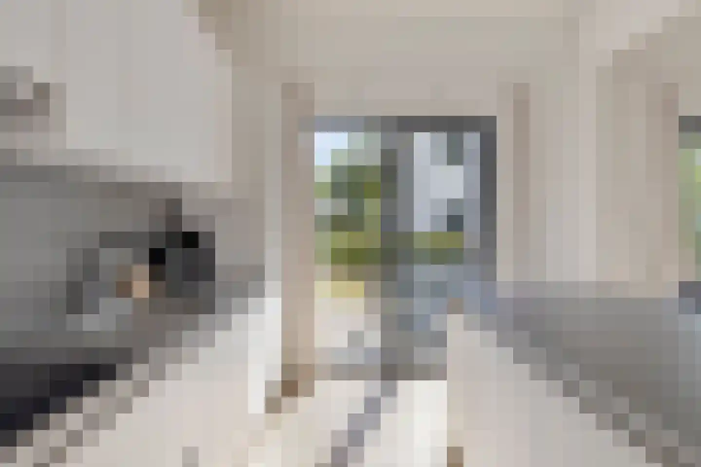 Klein Belgie 75 520 Vijfhuizen thumbnail 12