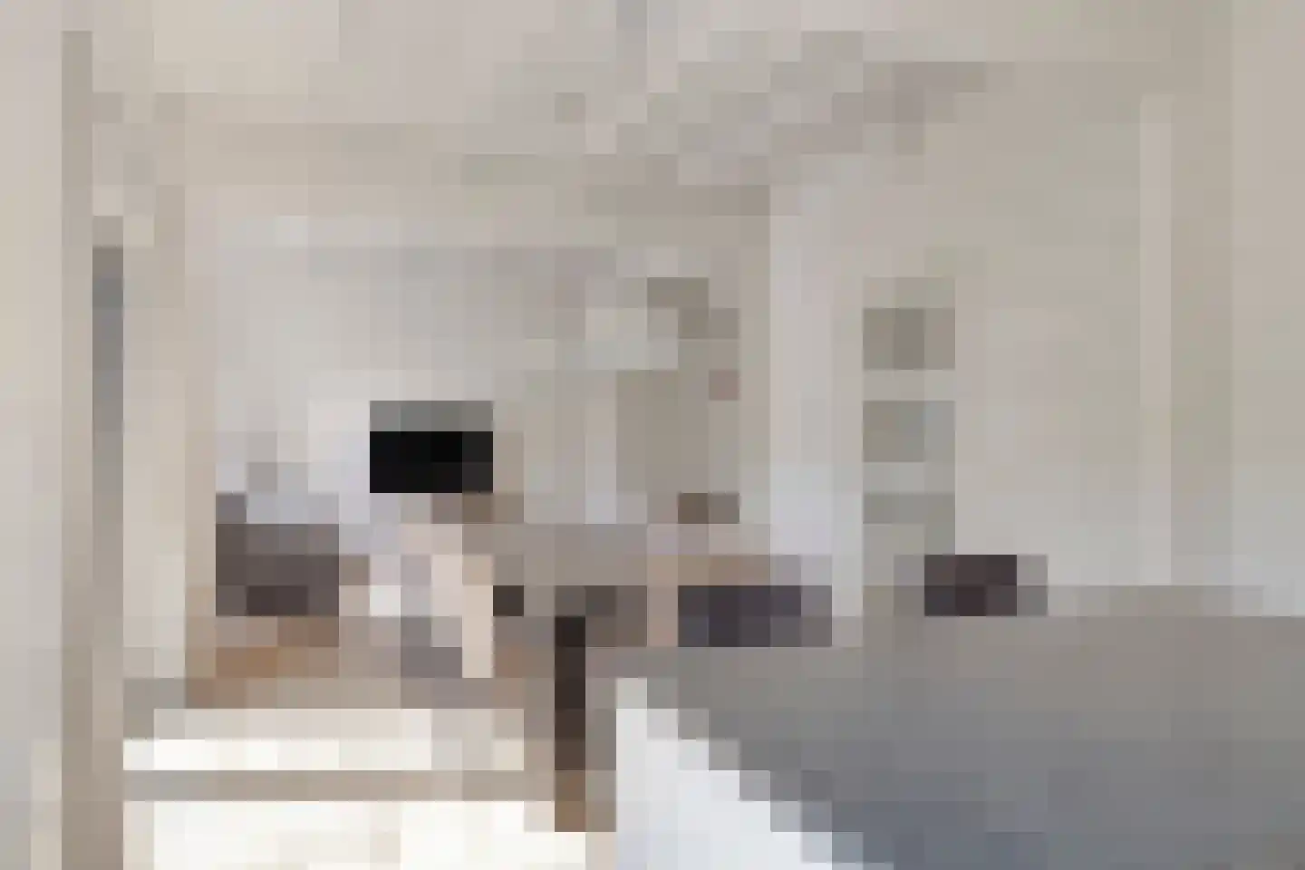 Klein Belgie 75 520 Vijfhuizen thumbnail 13