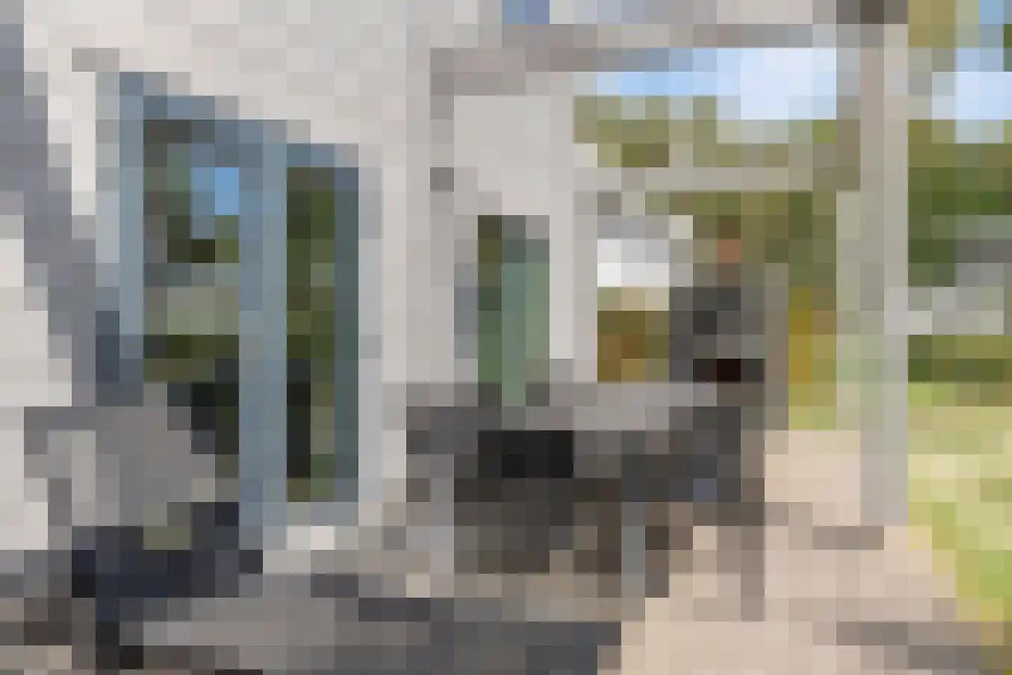 Klein Belgie 75 520 Vijfhuizen thumbnail 28