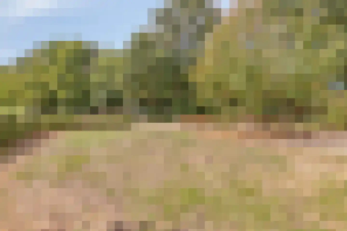 Klein Belgie 75 520 Vijfhuizen thumbnail 34