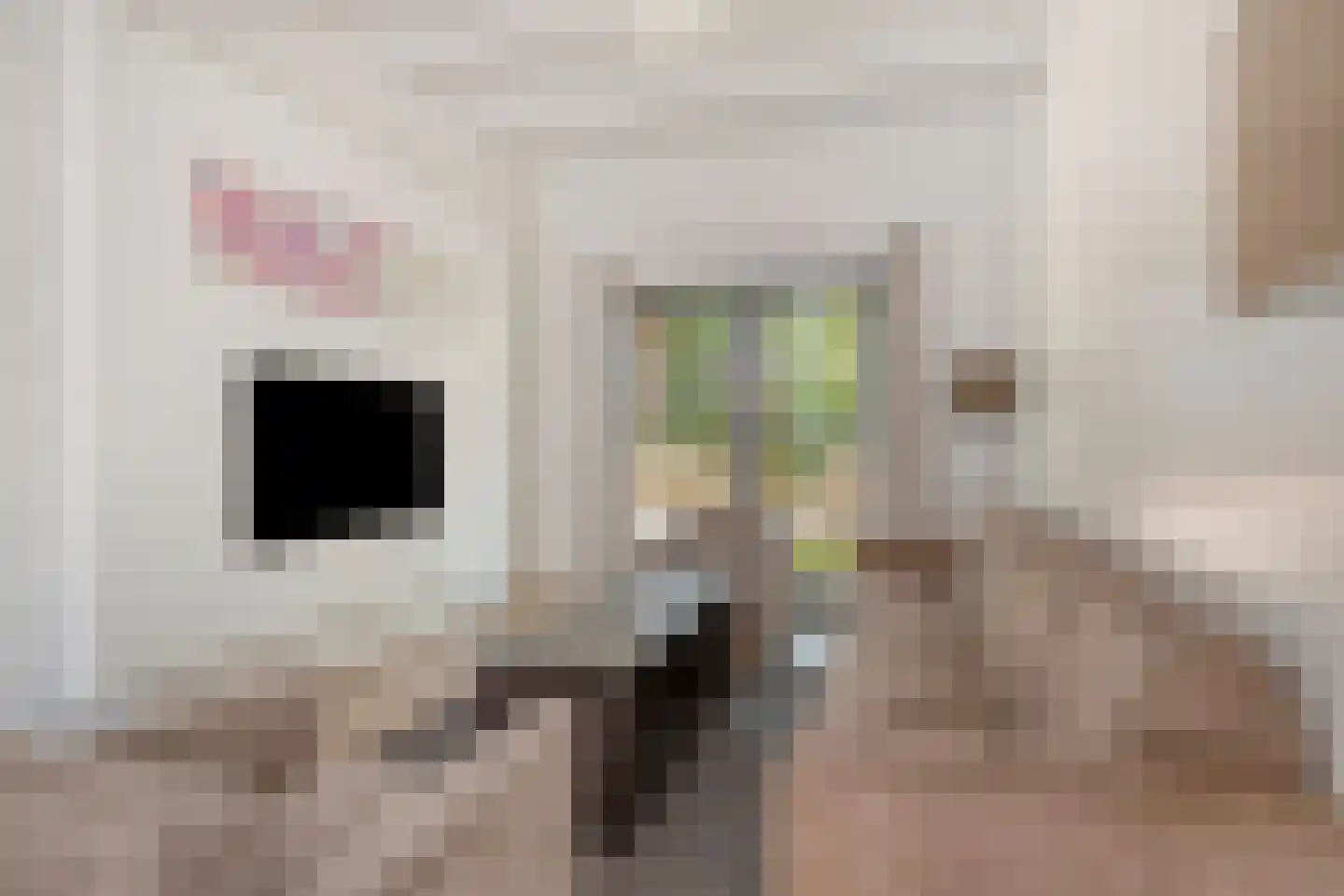 Klein Belgie 75 520 Vijfhuizen thumbnail 4