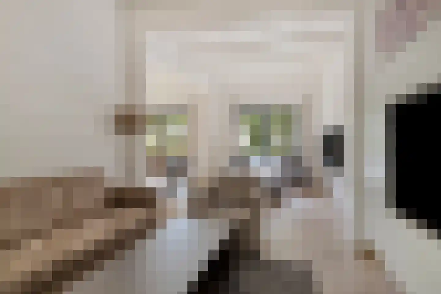 Klein Belgie 75 520 Vijfhuizen thumbnail 6