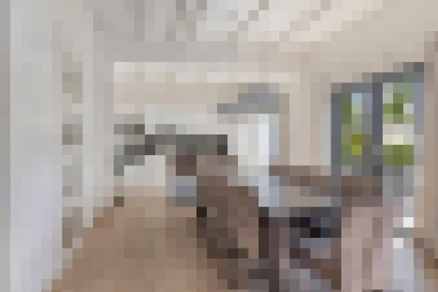 Klein Belgie 75 520 Vijfhuizen thumbnail 8