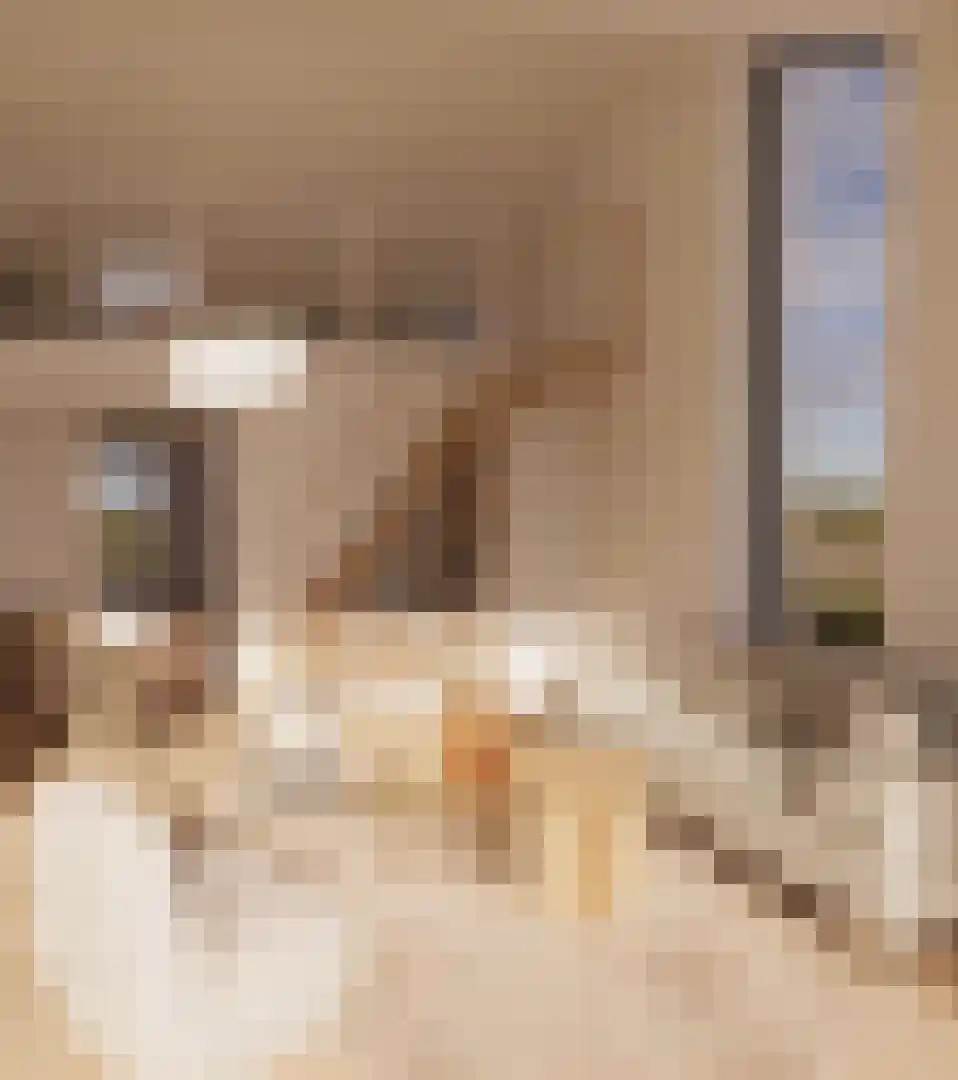 Klein Belgie 75 Vijfhuizen thumbnail 10