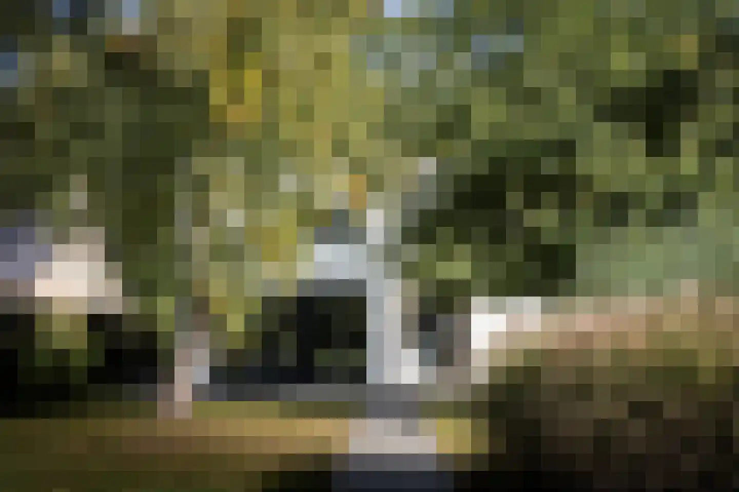 Klein Belgie 75 Vijfhuizen thumbnail 17
