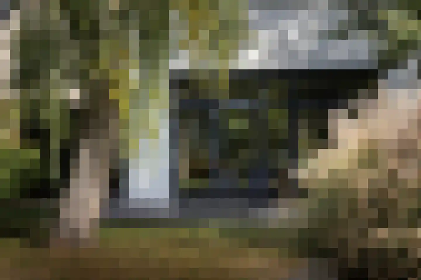 Klein Belgie 75 Vijfhuizen thumbnail 19