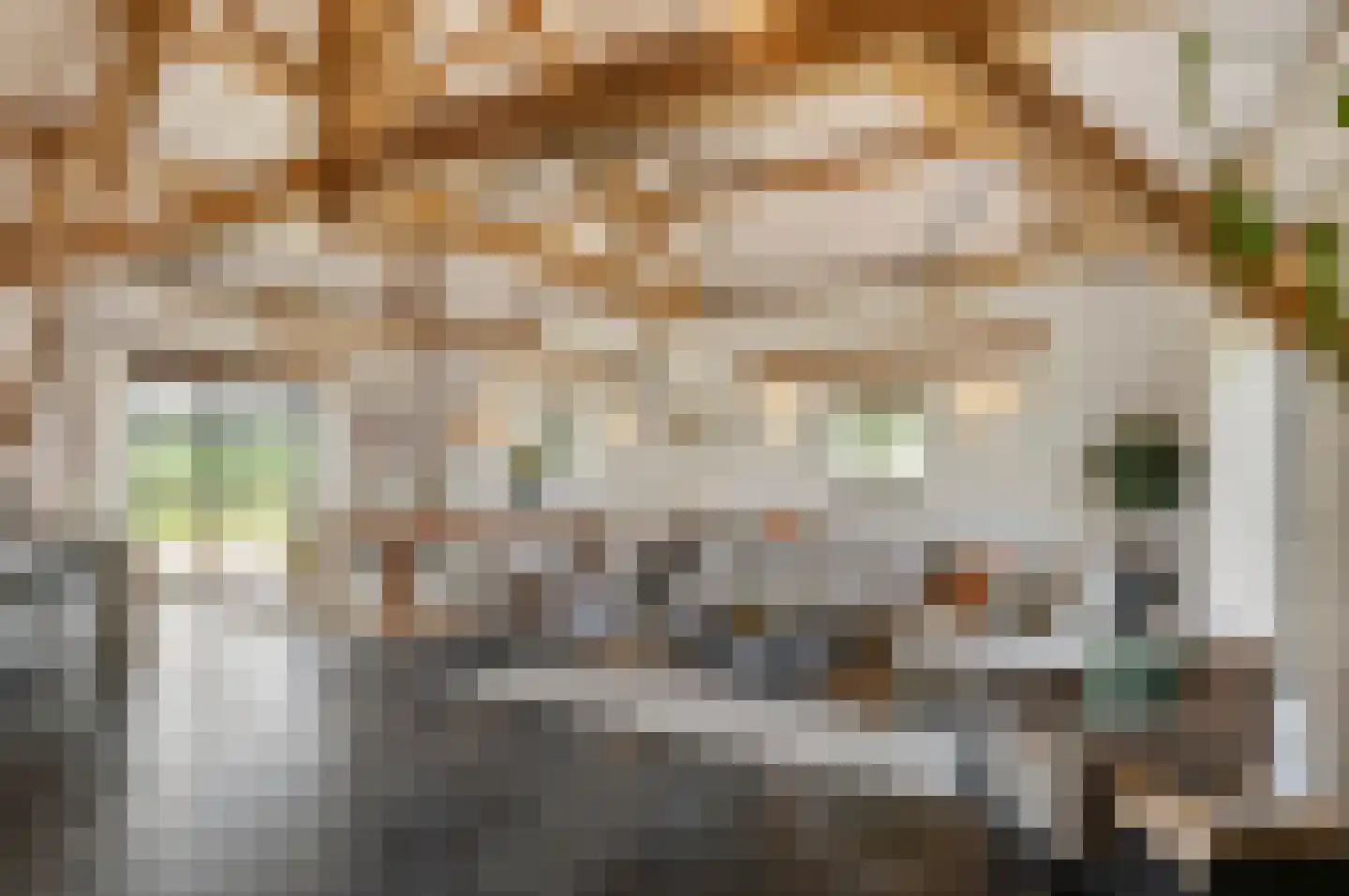 Klein Belgie 75 Vijfhuizen thumbnail 22