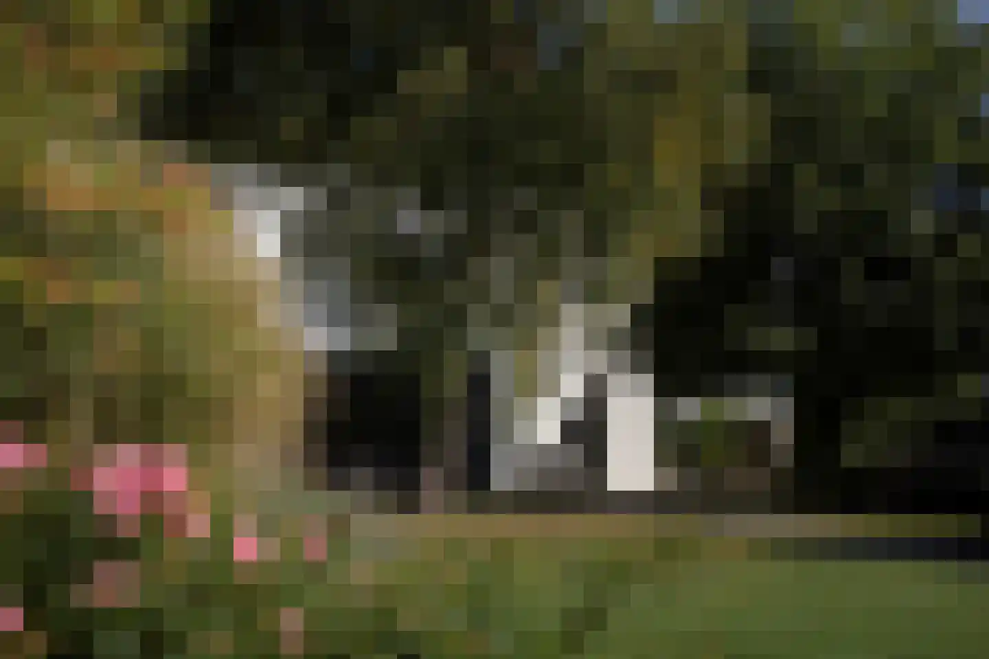 Klein Belgie 75 Vijfhuizen thumbnail 22