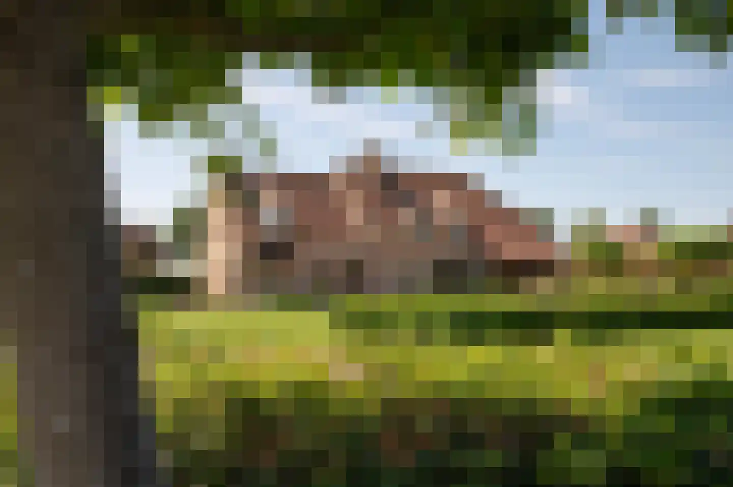 Klein Belgie 75 Vijfhuizen thumbnail 24