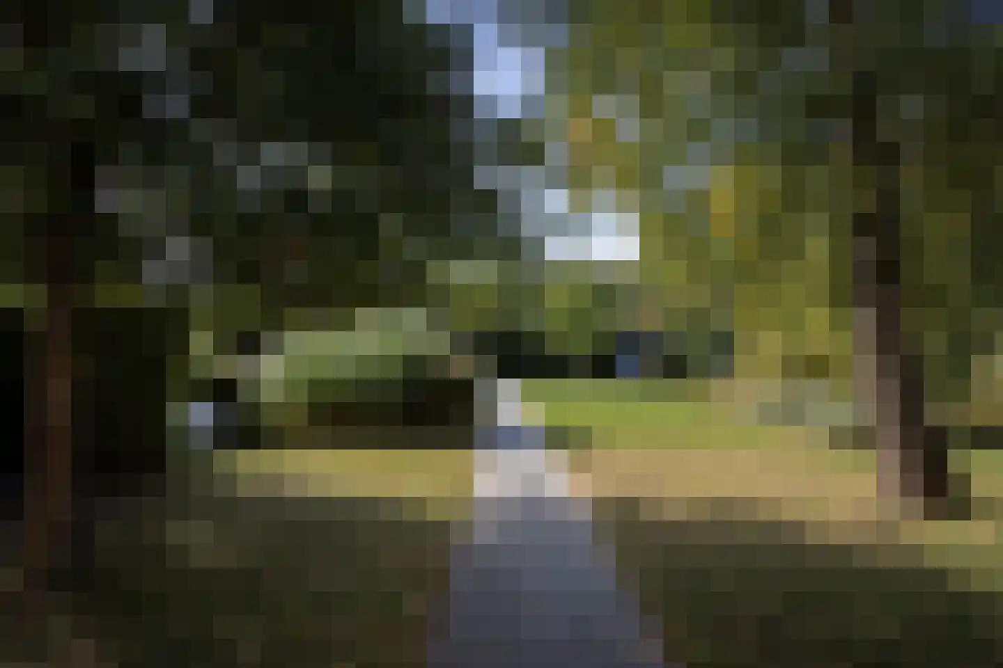 Klein Belgie 75 Vijfhuizen thumbnail 25