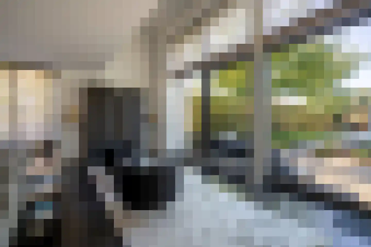 Klein Belgie 75 Vijfhuizen thumbnail 25