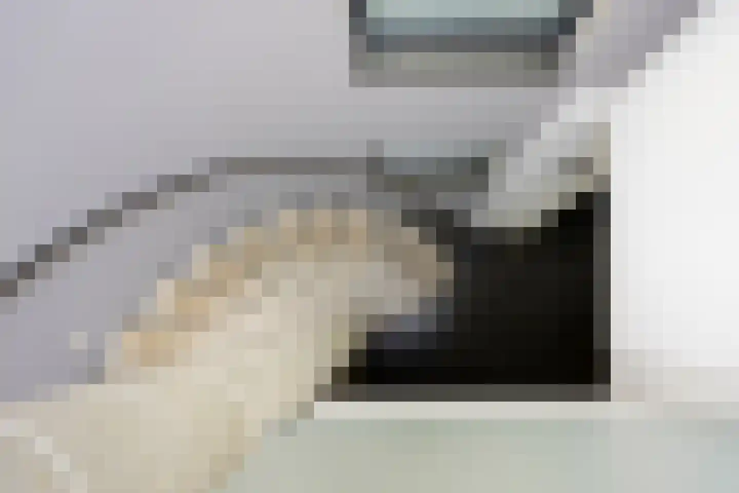 Klein Belgie 75 Vijfhuizen thumbnail 26