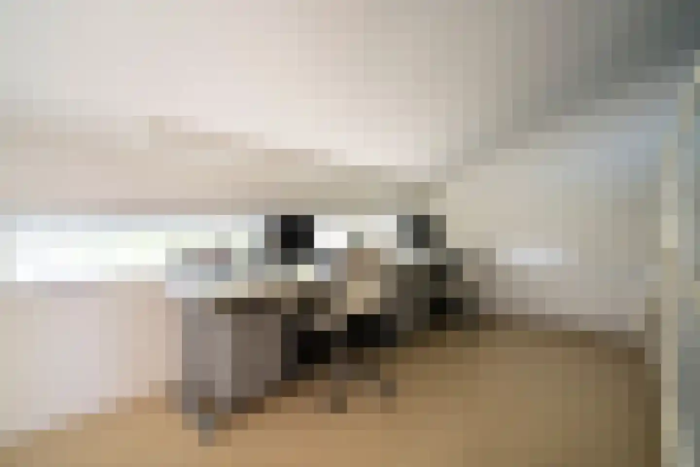 Klein Belgie 75 Vijfhuizen thumbnail 35