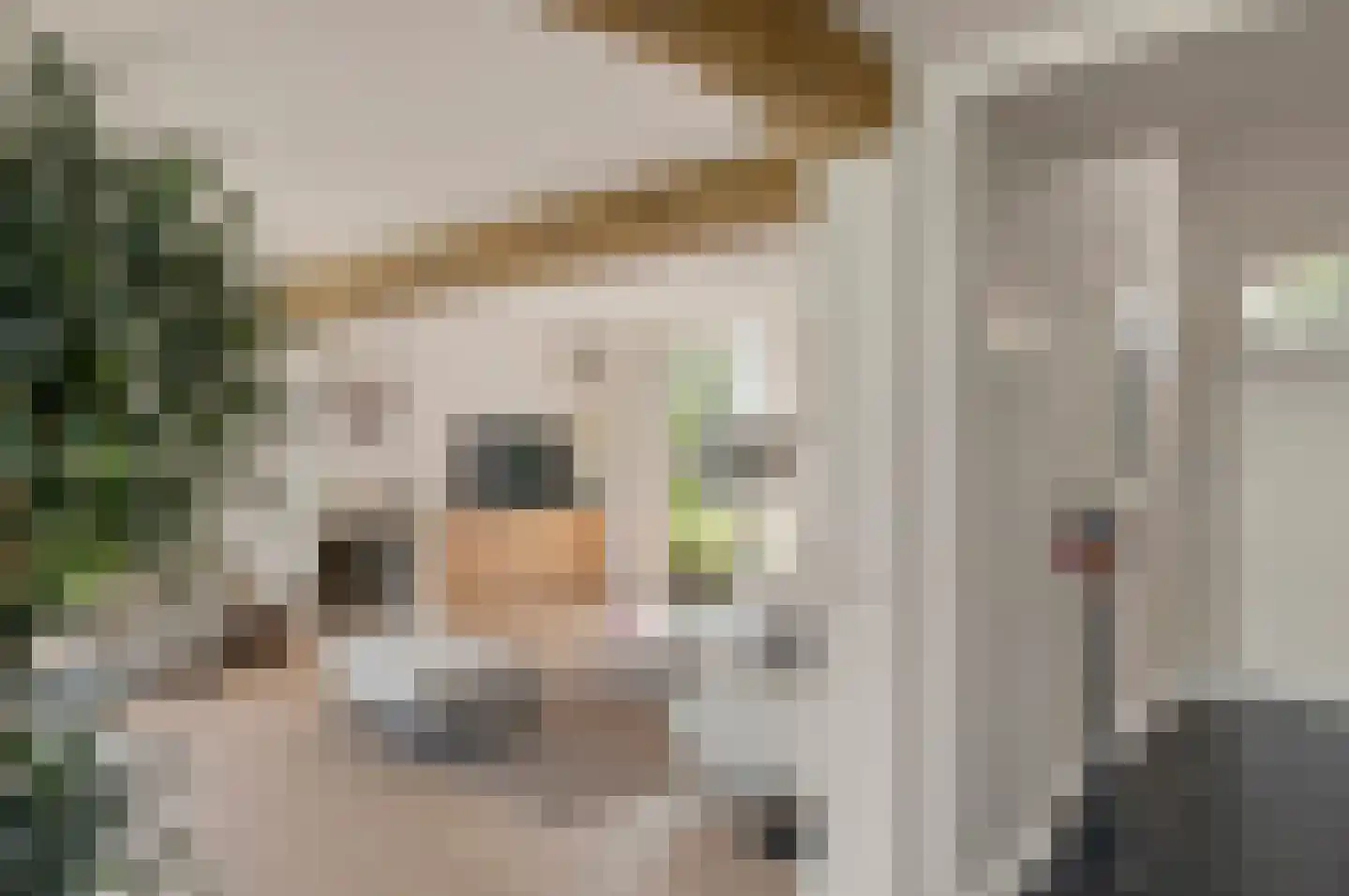 Klein Belgie 75 Vijfhuizen thumbnail 6