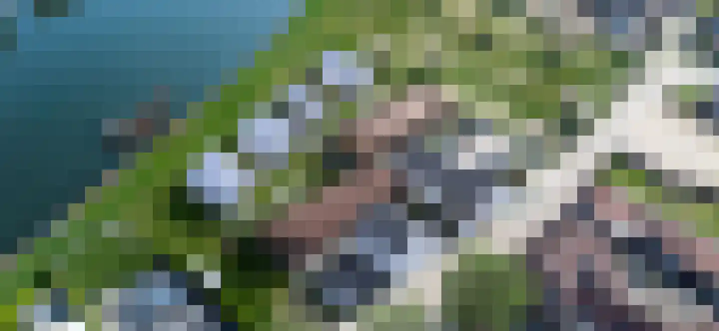 Klein Belgie 75 Vijfhuizen thumbnail 7