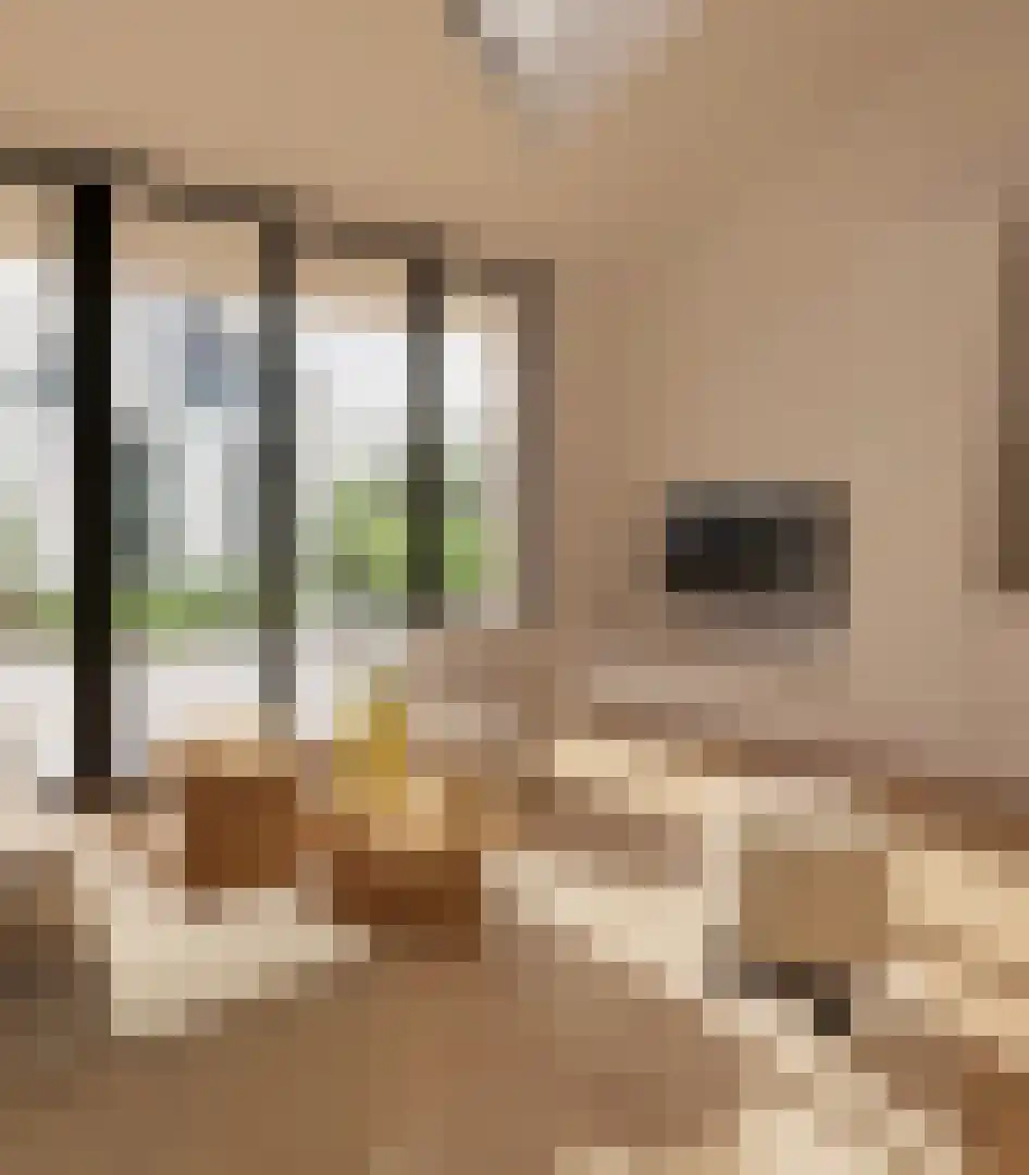 Klein Belgie 75 Vijfhuizen thumbnail 8