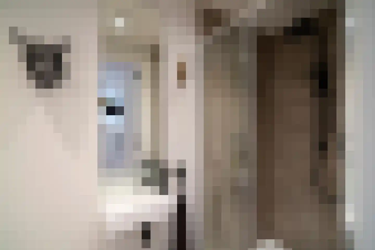 Klein Belgie 75 Vijfhuizen thumbnail 8