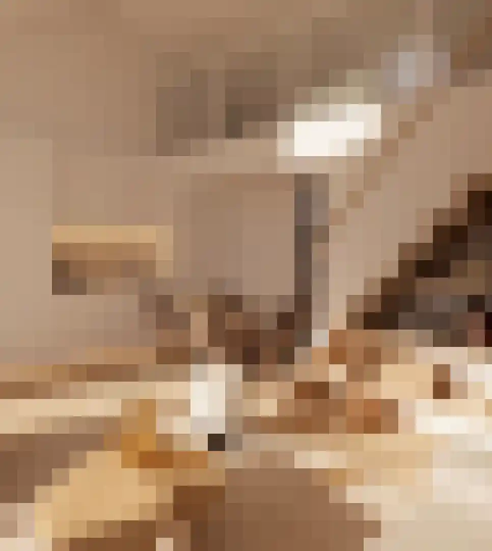 Klein Belgie 75 Vijfhuizen thumbnail 9