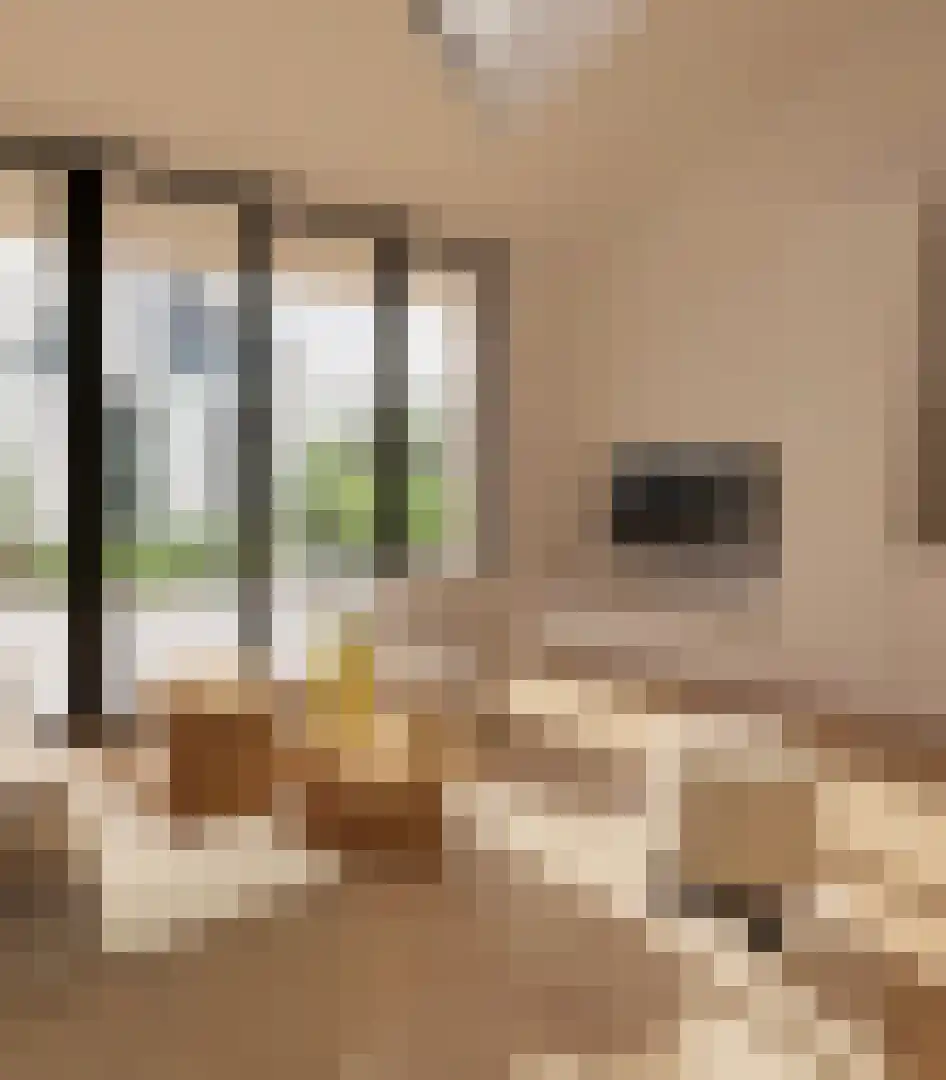 Klein Belgie 751 Vijfhuizen thumbnail 10