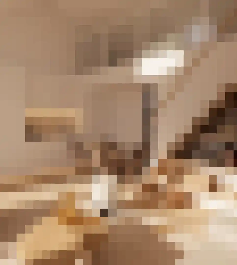 Klein Belgie 751 Vijfhuizen thumbnail 11