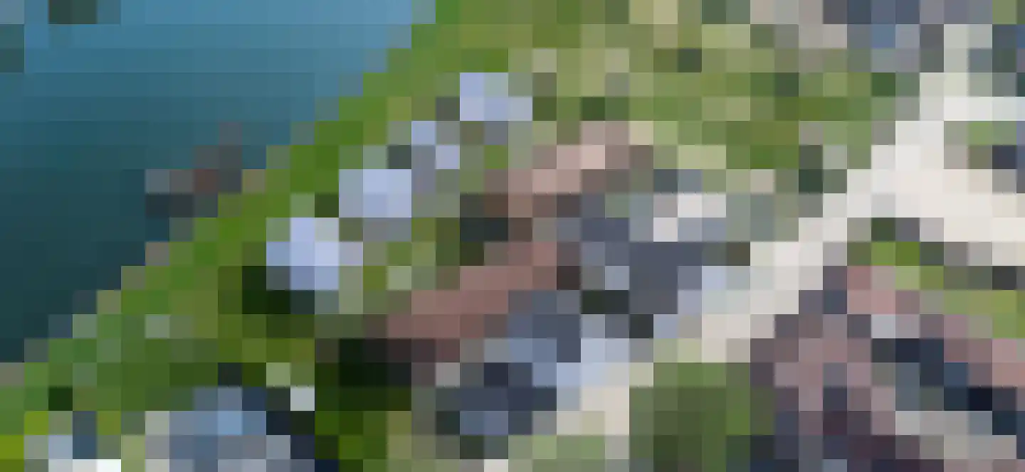Klein Belgie 751 Vijfhuizen thumbnail 7