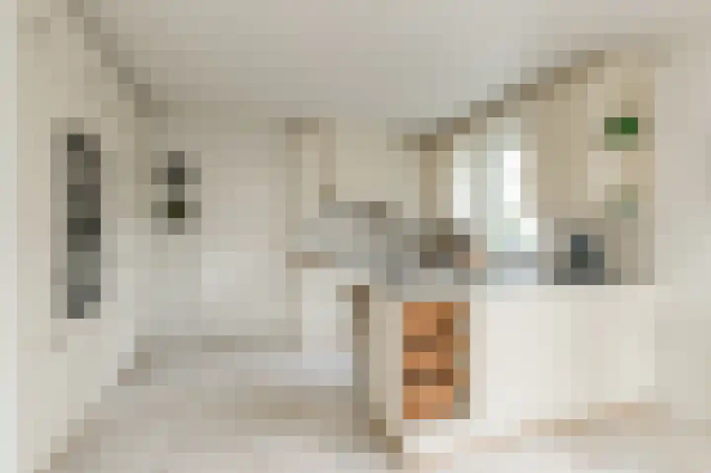 Klein Belgie 78 Vijfhuizen thumbnail 21