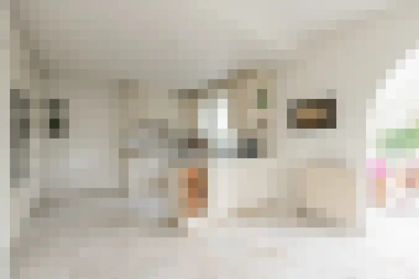 Klein Belgie 78 Vijfhuizen thumbnail 22