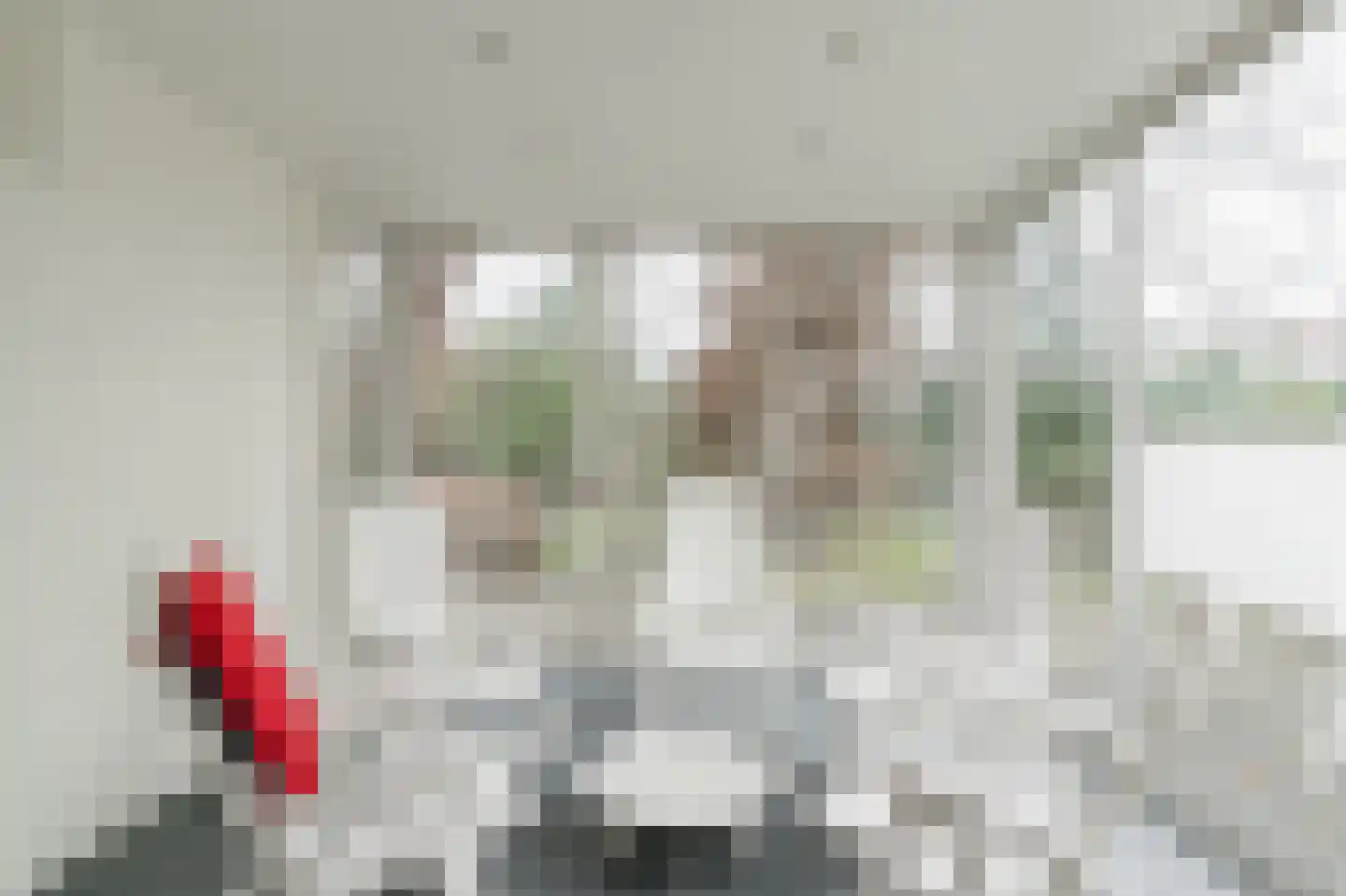 Klein Belgie 78 Vijfhuizen thumbnail 35