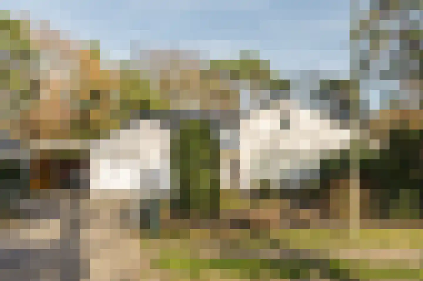 Klein Belgie 78 Vijfhuizen thumbnail 6
