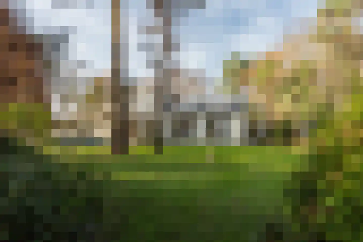 Klein Belgie 78 Vijfhuizen thumbnail 72