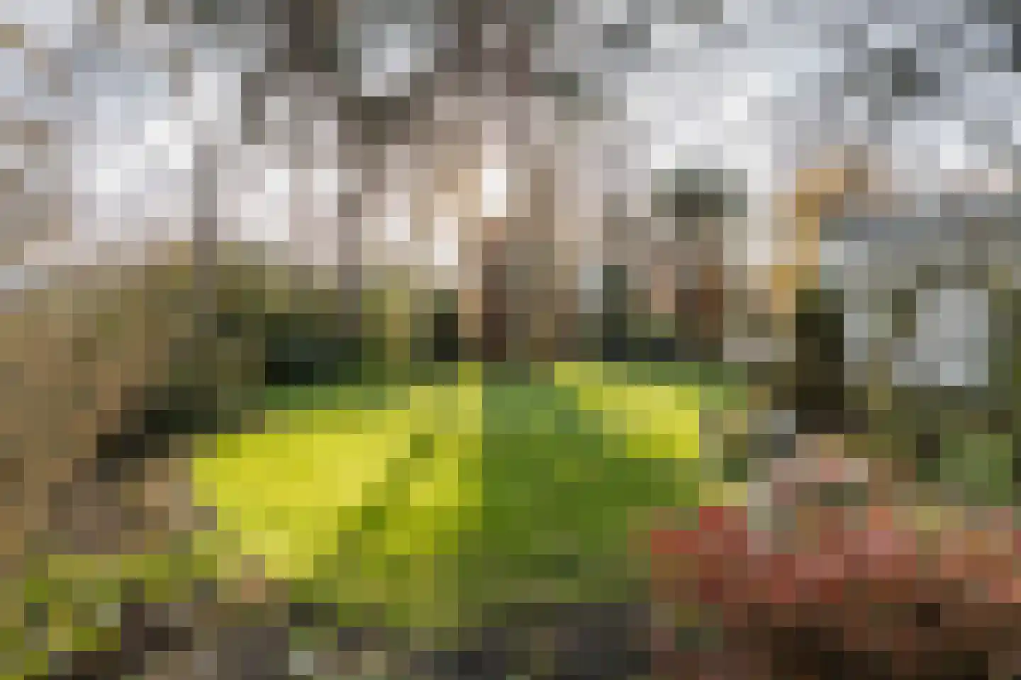 Klein Belgie 78 Vijfhuizen thumbnail 77