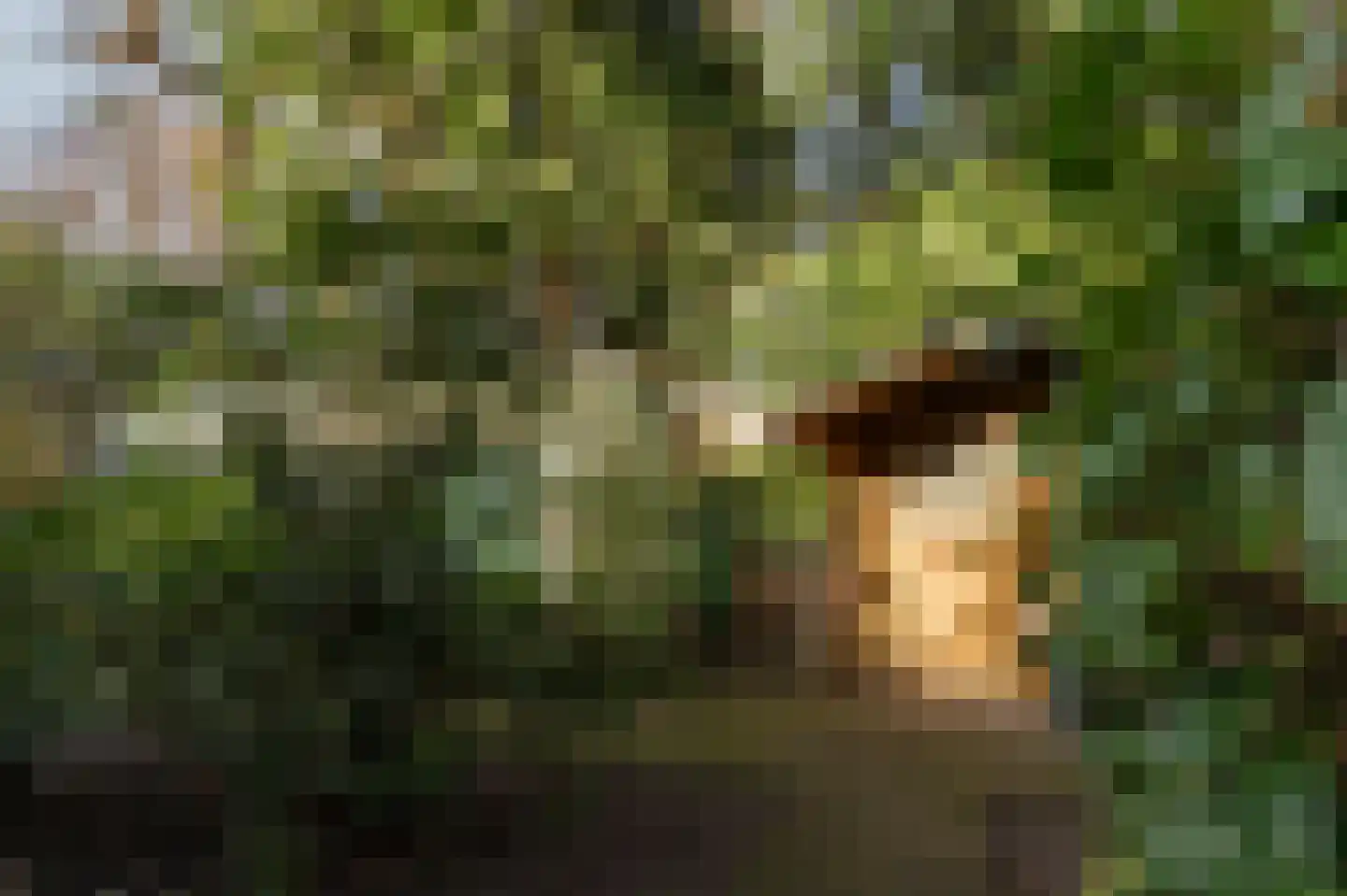 Klein Belgie 78 Vijfhuizen thumbnail 79