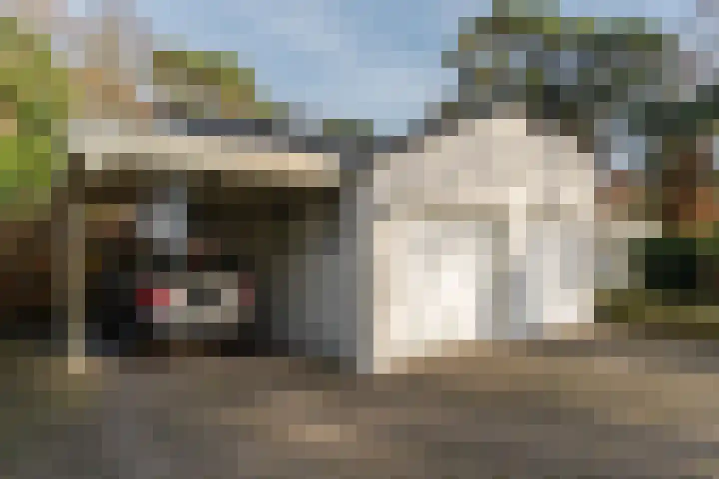 Klein Belgie 78 Vijfhuizen thumbnail 8