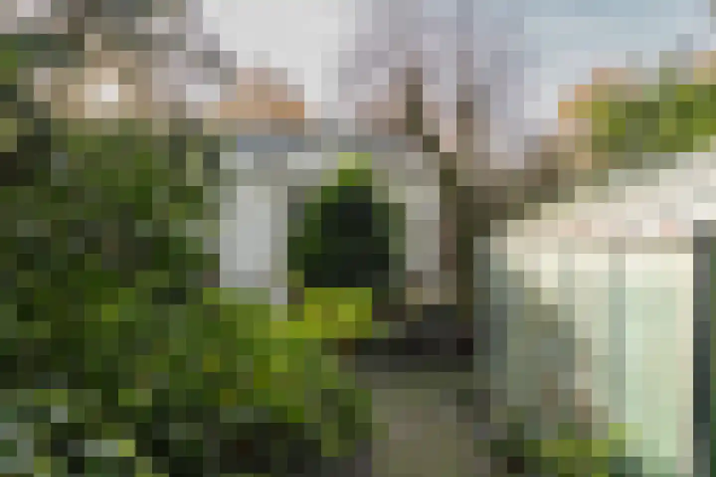 Klein Belgie 78 Vijfhuizen thumbnail 80