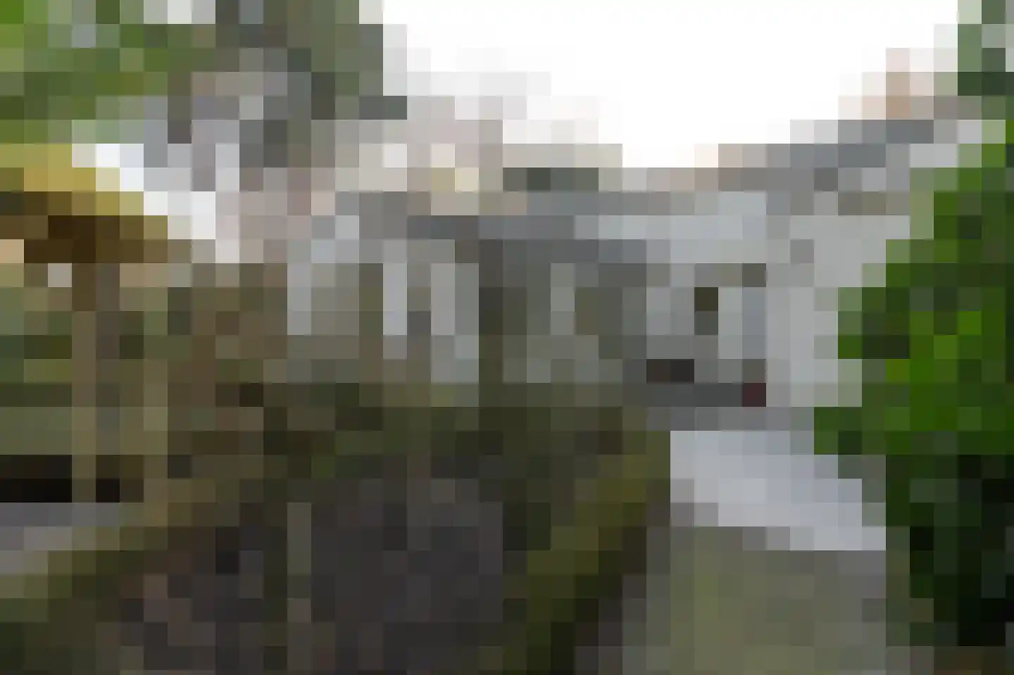 Klein Belgie 78 Vijfhuizen thumbnail 81