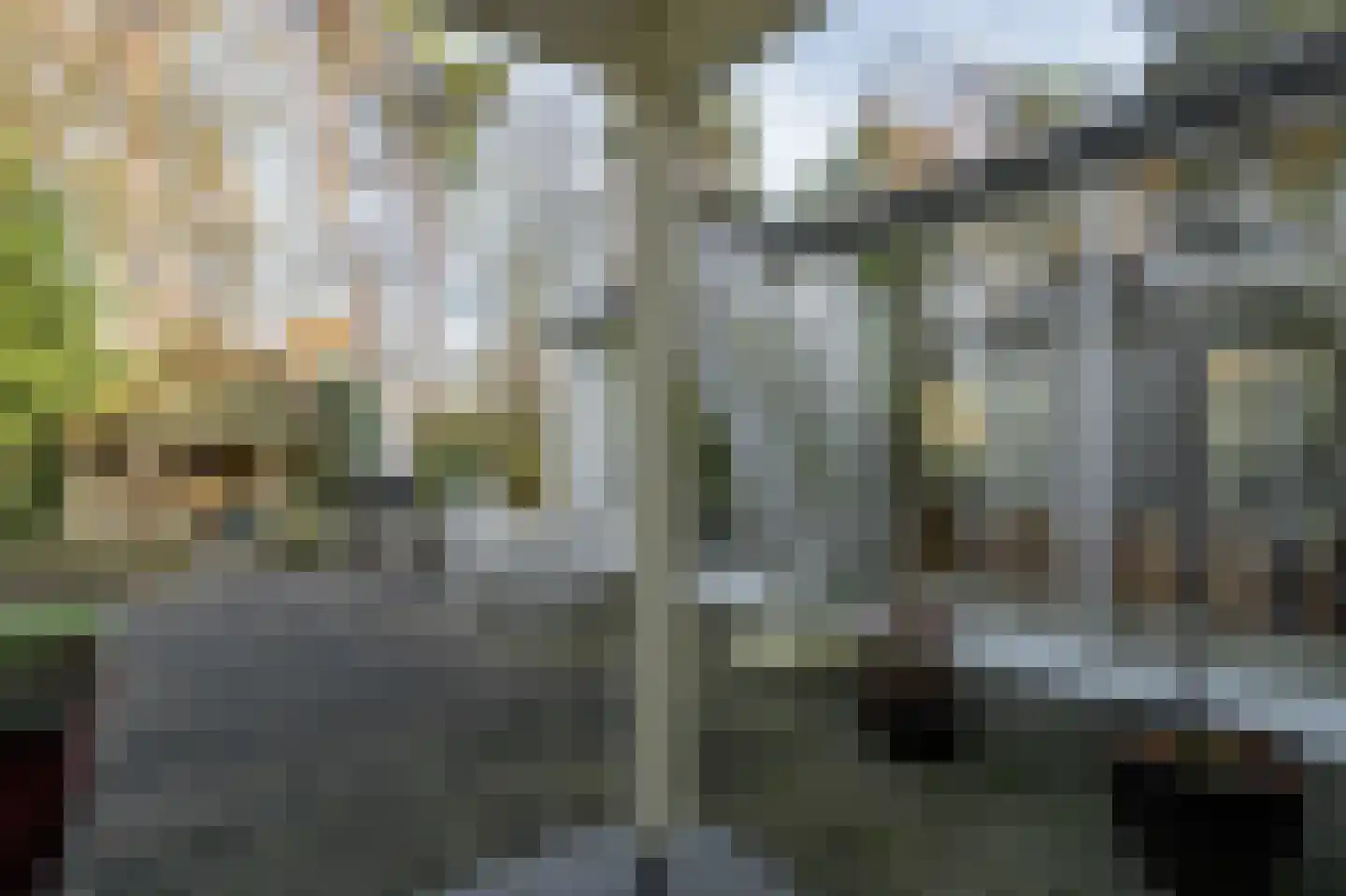 Klein Belgie 78 Vijfhuizen thumbnail 85